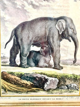 Load image into Gallery viewer, Lovely Vintage Trowbridge Framed Print Baby Elephant and Mother
