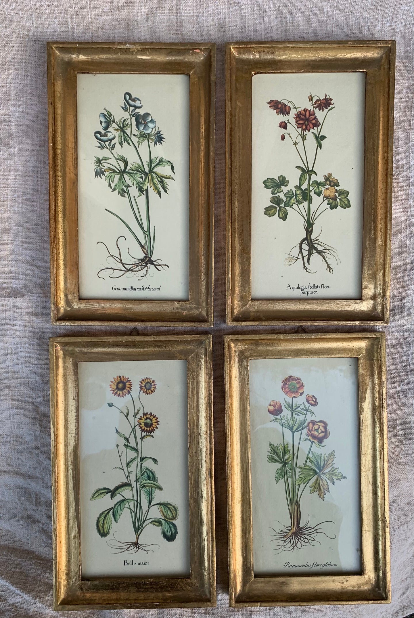 Vintage Set of 4 Botanical Prints