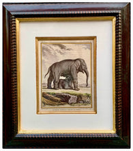 Load image into Gallery viewer, Lovely Vintage Trowbridge Framed Print Baby Elephant and Mother
