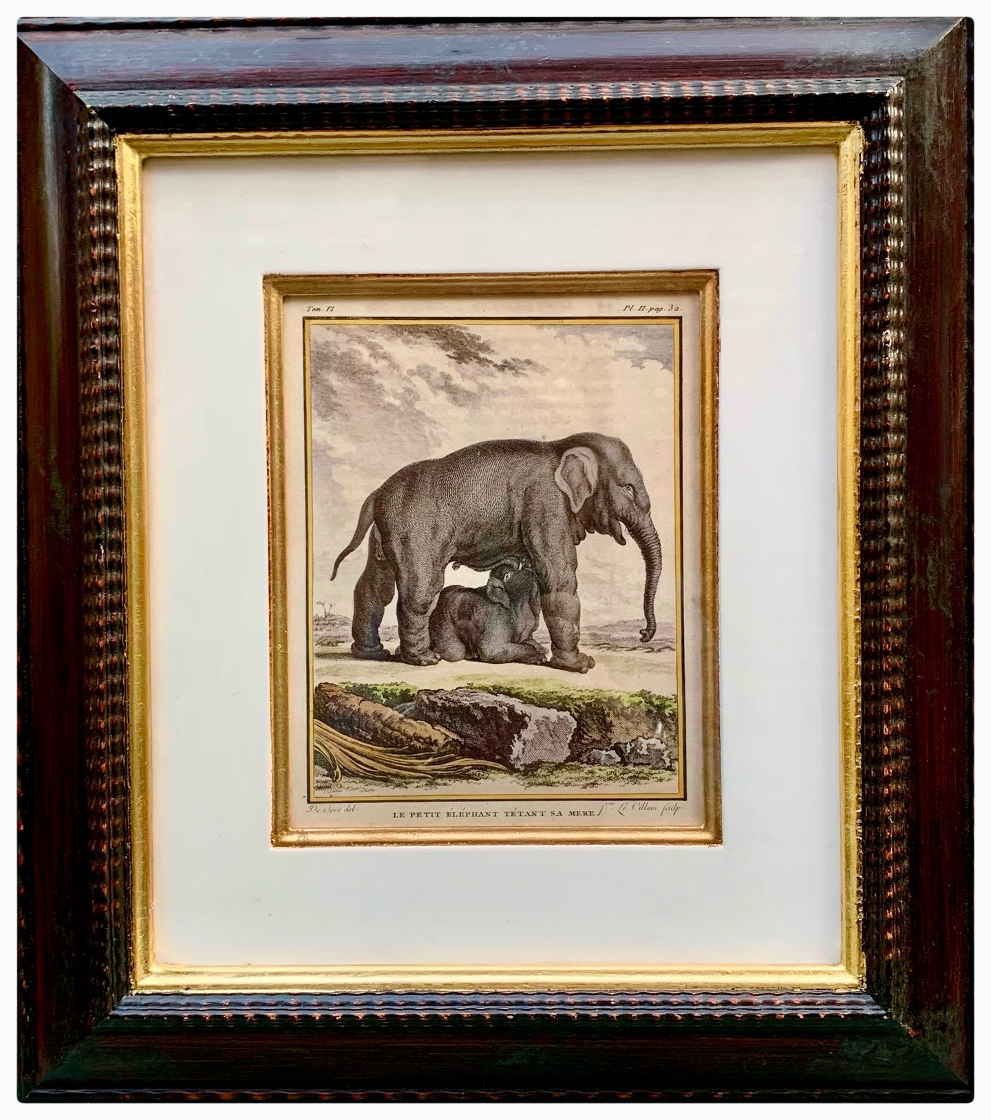 Lovely Vintage Trowbridge Framed Print Baby Elephant and Mother